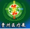 2012第十三屆中國(貴陽)醫(yī)療器械、設(shè)備與技術(shù)展覽會(huì)